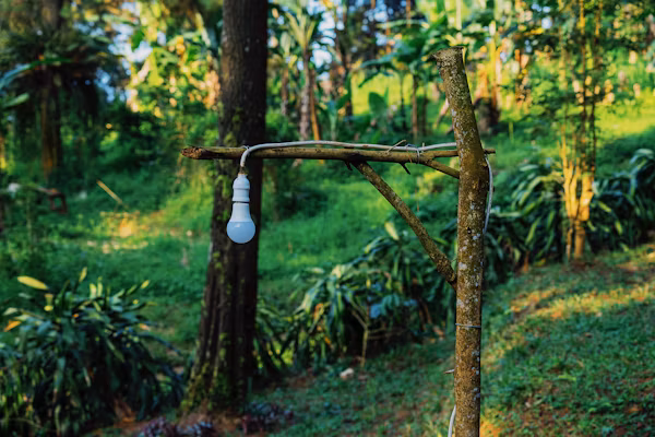 Drip Irrigation